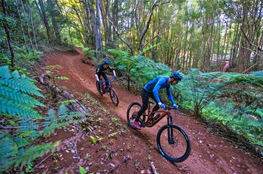 The Tweed's newest mountain bike facility at Uki.