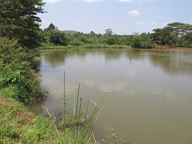 Tinga dam