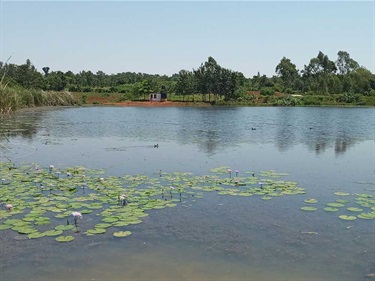 Looking-back-across-Manyasi-dam-to-the-Safe-Water-kiosk-2022