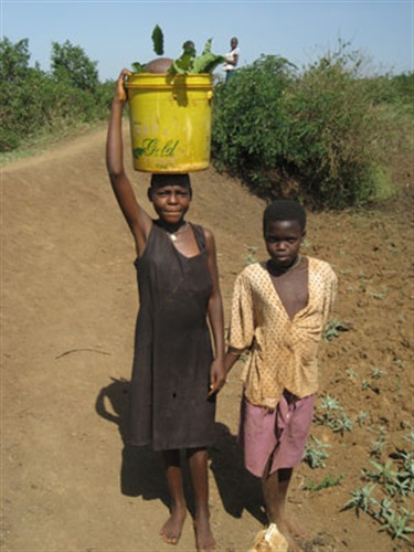 Girls collecting water