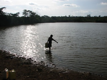 Evening water collection