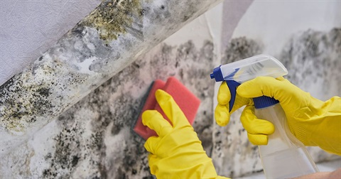 Cleaning mould