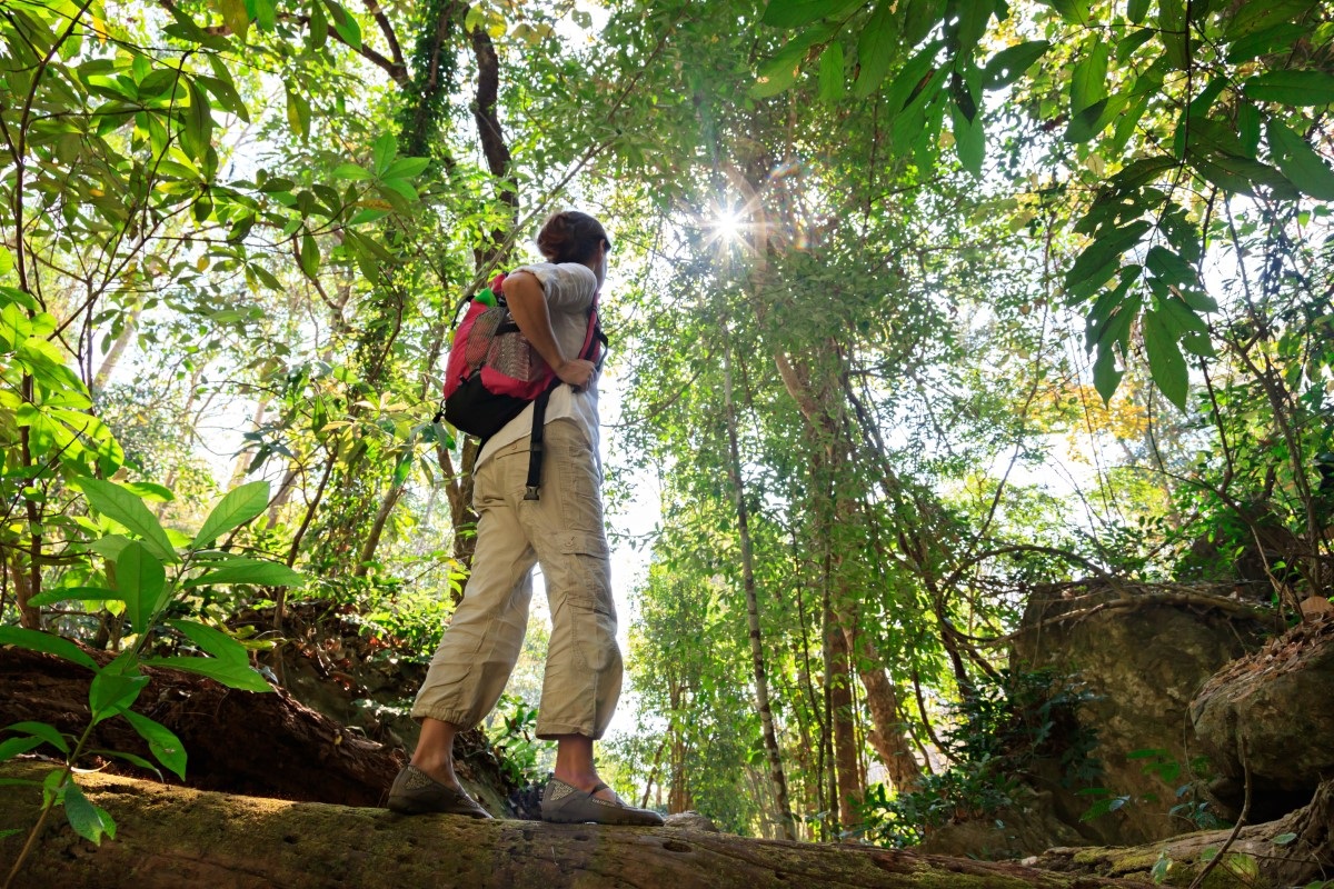 Man with backpack hiking through bright green forest.