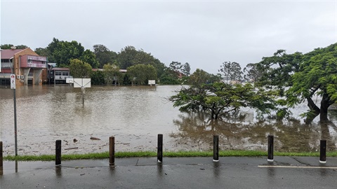 Don't-swim-floodwaters.jpg