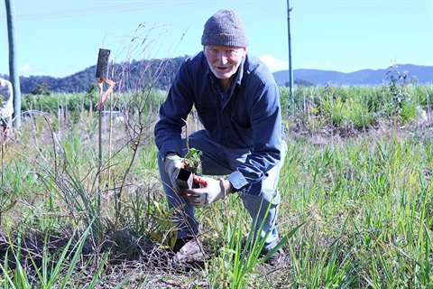 Kynnumboon tree planting day