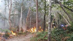 Hazard reduction burn at Pottsville