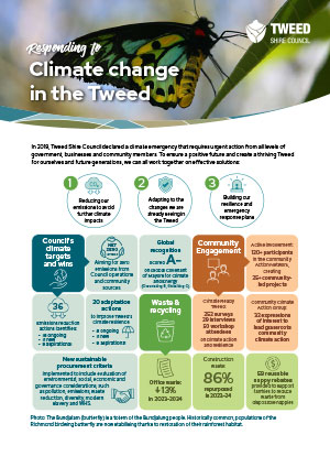 Climate emergency flyer