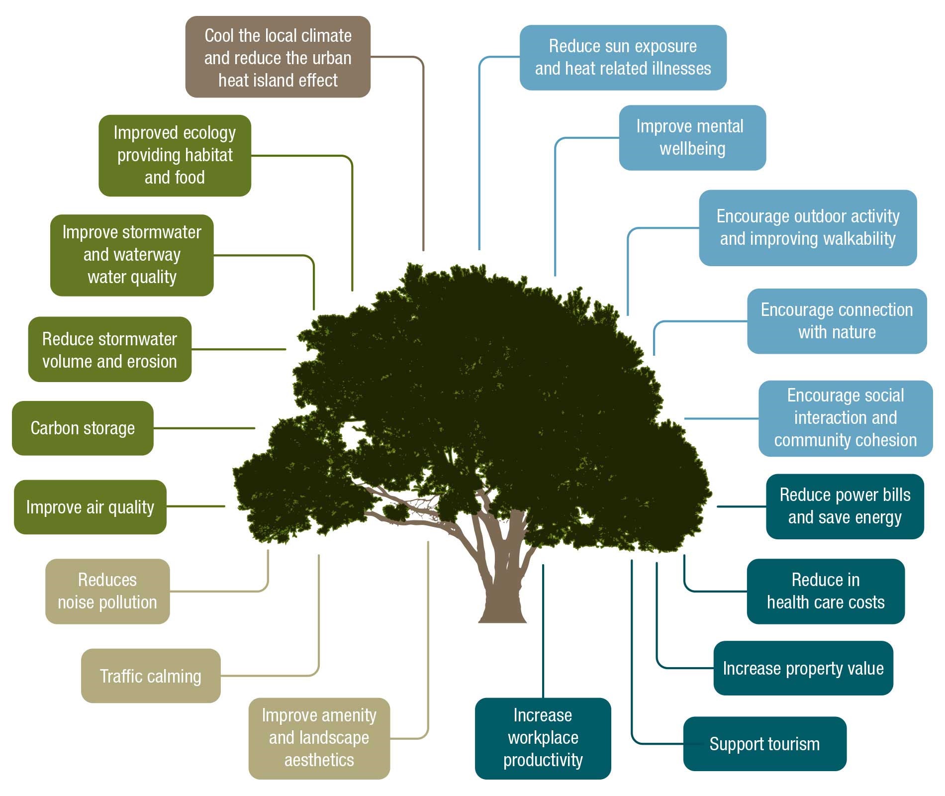 Summary of broad array of benefits offered by urban trees