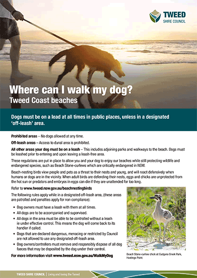 Where can I walk my dog - Tweed Coast beaches