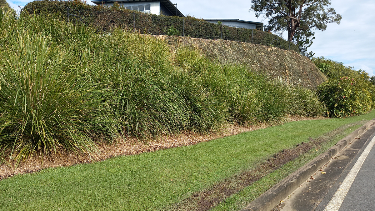 Ensure there is pedestrian access along the verge.