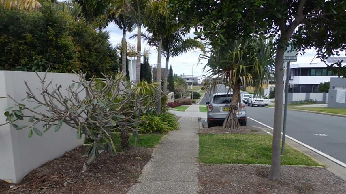 Tree canopies must not obstruct pedestrian access.