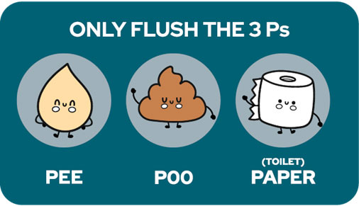 Only flush the 3 Ps