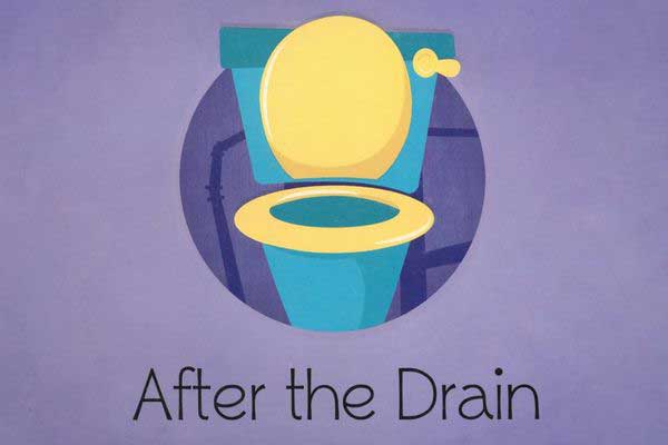 Book - After the drain