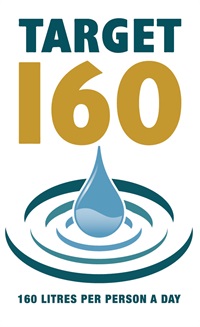 Target 160 logo