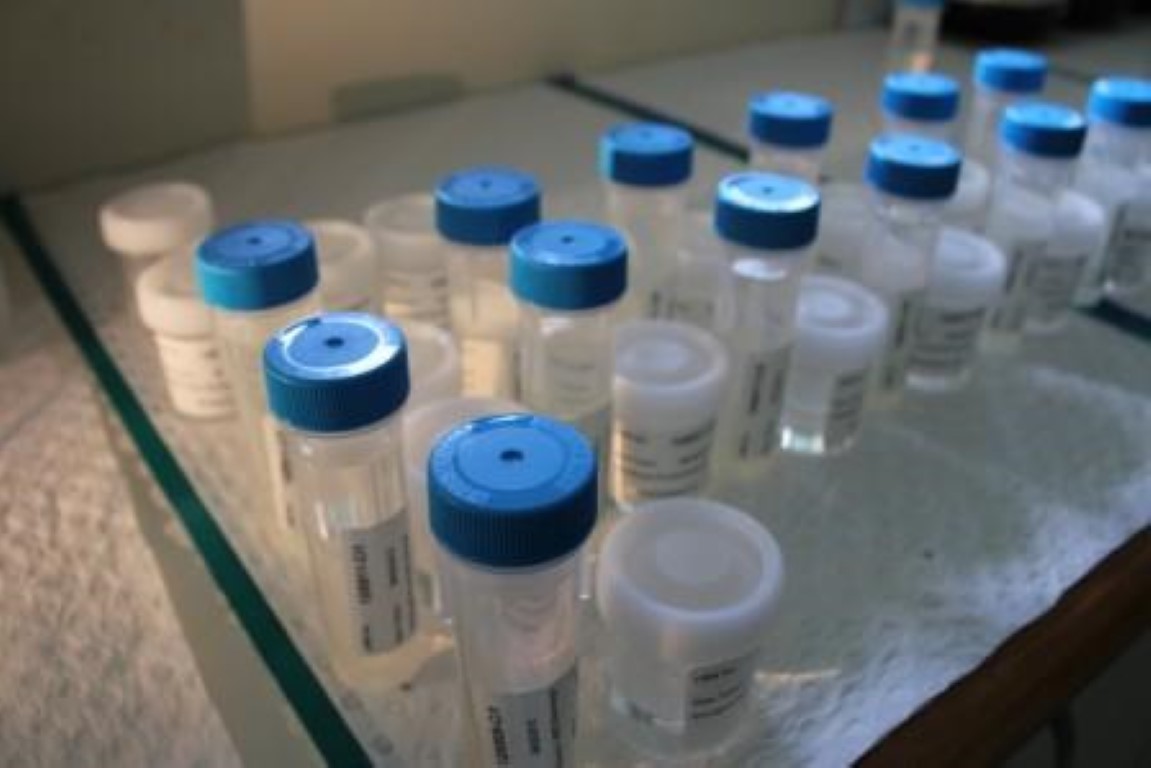 test-tube-laboratory.jpg