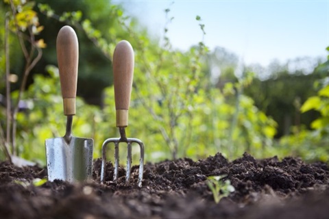 Garden spade and fork in the soil