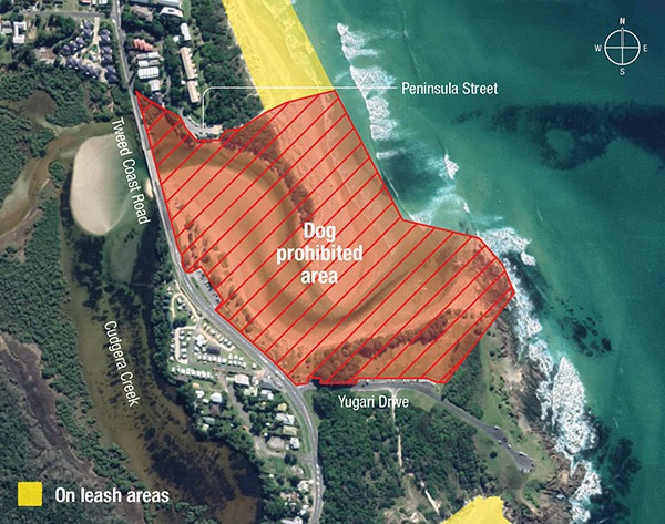 Dog prohibited zone - Hastings Point